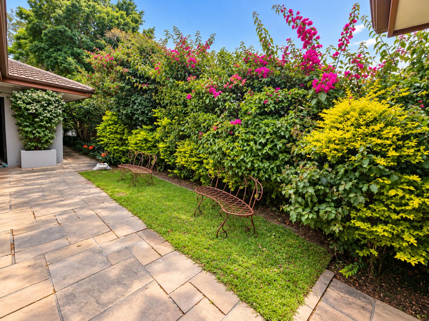 769572_Lush_Patio_Garden_with_Ornate_Benches.png