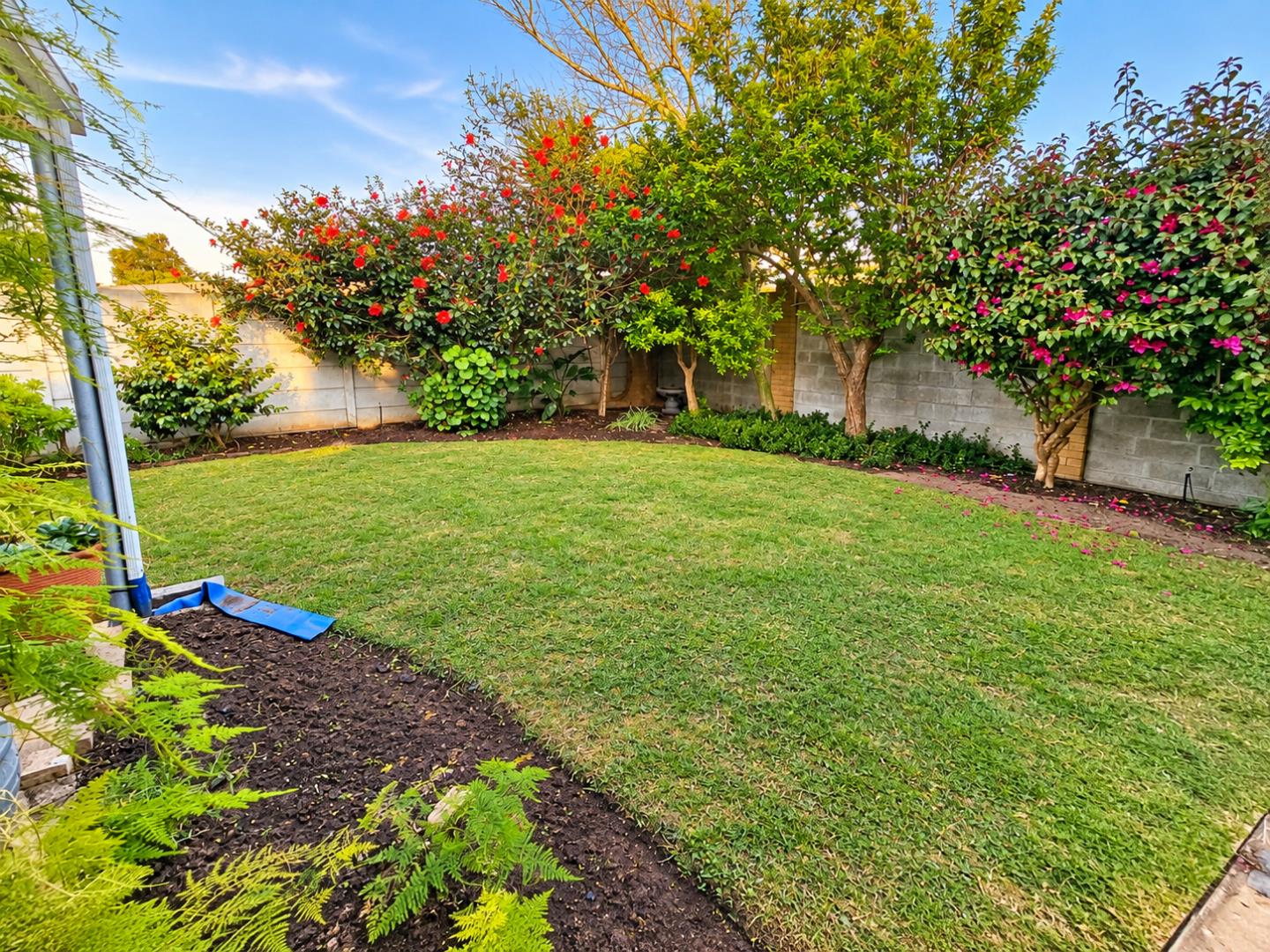 769601_Vibrant_Suburban_Garden_at_Golden_Hour.png